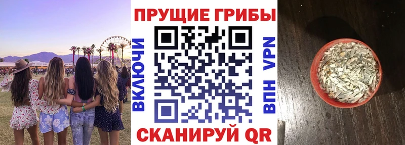 Купить закладки  Партизанск  Галлюциногенные грибы MAGIC MUSHROOMS 